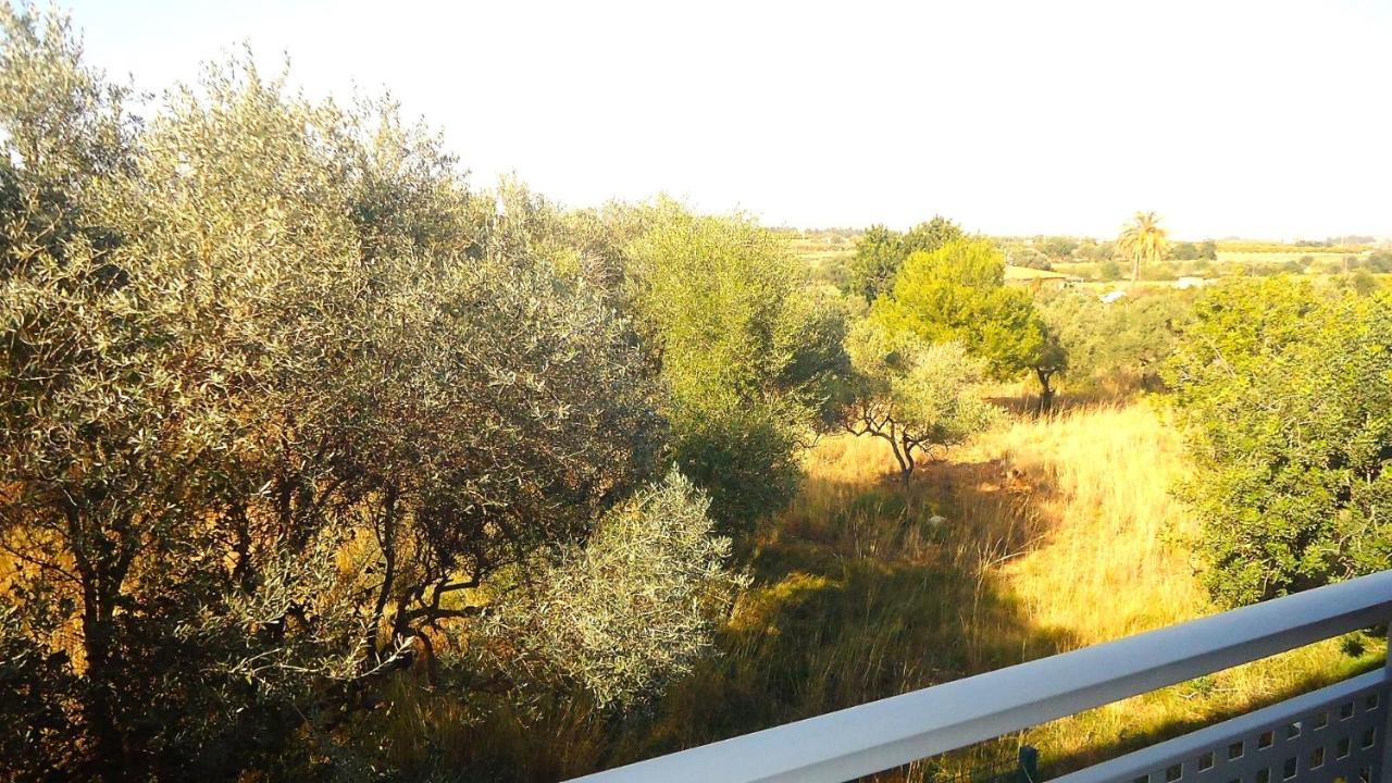 Terravita Residencial Lek Peñíscola エクステリア 写真